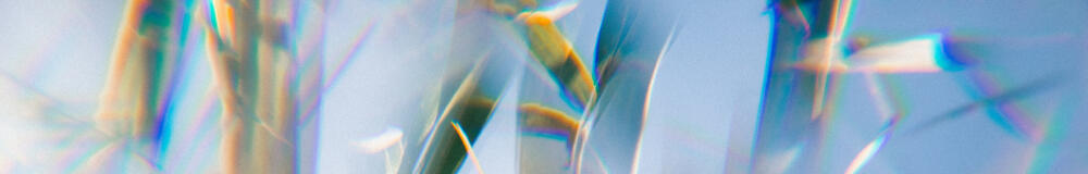 Journalist biodesign future climate design thinking